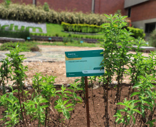 Instalada em Colombo, na Região Metropolitana de Curitiba, a Herbarium é líder no mercado de fitoterápicos no País. A empresa tem 35 anos e 450 colaboradores produzindo, em média, 650 mil unidades de medicamentos por mês.