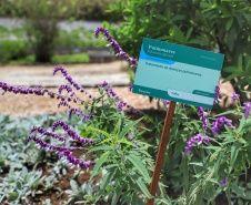 Instalada em Colombo, na Região Metropolitana de Curitiba, a Herbarium é líder no mercado de fitoterápicos no País. A empresa tem 35 anos e 450 colaboradores produzindo, em média, 650 mil unidades de medicamentos por mês.