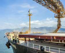 Porto prevê 11% de alta nas exportações de grãos no 1º trimestre.