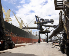 Porto prevê 11% de alta nas exportações de grãos no 1º trimestre.