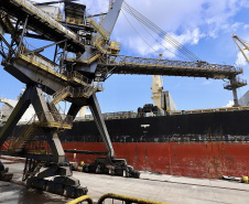 Porto prevê 11% de alta nas exportações de grãos no 1º trimestre.