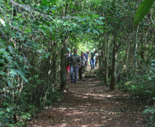 Capanema - Ilha do Sol - Parque Nacional Iguaçu Foto: José Fernando Ogura/AEN