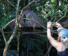 04/2019 - Foz do Iguaçu - Parque das Aves. Foto: José Fernando Ogura/AEN