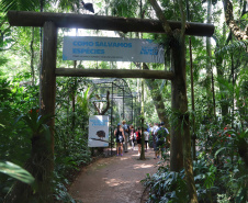 04/2019 - Foz do Iguaçu - Parque das Aves. Foto: José Fernando Ogura/AEN