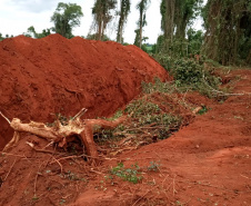 Uma fiscalização do Batalhão de Polícia Ambiental-Força Verde (BPAmb-FV) e do Instituto Água e Terra (IAT), órgão vinculado à Secretaria do Desenvolvimento Sustentável e Turismo (Sedest), flagrou a destruição de vegetação nativa no município de São José da Boa Vista, no Norte do Estado, no sábado (09). A ação resultou na prisão de nove pessoas, apreensão de seis máquinas e um total de R$ 252 mil em multas.  -  Foto: Divulgação SEDEST/IAT