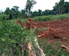Uma fiscalização do Batalhão de Polícia Ambiental-Força Verde (BPAmb-FV) e do Instituto Água e Terra (IAT), órgão vinculado à Secretaria do Desenvolvimento Sustentável e Turismo (Sedest), flagrou a destruição de vegetação nativa no município de São José da Boa Vista, no Norte do Estado, no sábado (09). A ação resultou na prisão de nove pessoas, apreensão de seis máquinas e um total de R$ 252 mil em multas.  -  Foto: Divulgação SEDEST/IAT