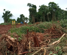 Uma fiscalização do Batalhão de Polícia Ambiental-Força Verde (BPAmb-FV) e do Instituto Água e Terra (IAT), órgão vinculado à Secretaria do Desenvolvimento Sustentável e Turismo (Sedest), flagrou a destruição de vegetação nativa no município de São José da Boa Vista, no Norte do Estado, no sábado (09). A ação resultou na prisão de nove pessoas, apreensão de seis máquinas e um total de R$ 252 mil em multas.  -  Foto: Divulgação SEDEST/IAT