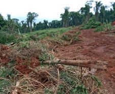 Uma fiscalização do Batalhão de Polícia Ambiental-Força Verde (BPAmb-FV) e do Instituto Água e Terra (IAT), órgão vinculado à Secretaria do Desenvolvimento Sustentável e Turismo (Sedest), flagrou a destruição de vegetação nativa no município de São José da Boa Vista, no Norte do Estado, no sábado (09). A ação resultou na prisão de nove pessoas, apreensão de seis máquinas e um total de R$ 252 mil em multas.  -  Foto: Divulgação SEDEST/IAT
