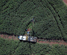 PR Trifásico concluiu 2,8 mil quilômetros de novas redes . Foto: Copel
