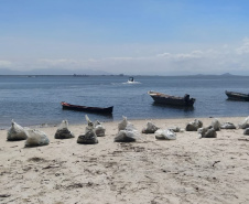 Cerca de 190 quilos de resíduos sólidos foram retirados da Ilha do Mel nesta terça e quarta-feira (12 e 13). A iniciativa foi uma parceria entre o Instituto Água e Terra (IAT), a ONG Eco Local Brasil e a população nativa da Ilha. Ao todo, 46 voluntários participaram do mutirão de limpeza das praias, ação que faz parte do movimento Somos da Ilha do Mel, organizado pela população local.  -  Foto: Divulgação SEDEST