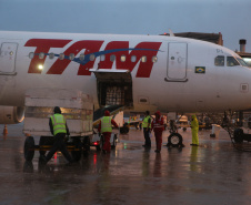 Chegada das vacinas contra a Covid-19 no Aeroporto Afonso Pena em Curitiba-  18/01/2021 - Foto: Geraldo Bubniak/AEN