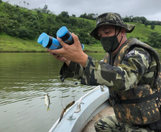 O Instituto Água e Terra (IAT) de Ponta Grossa, junto com o 3° pelotão da Polícia Ambiental de Telêmaco Borba, realizaram nessa terça-feira (19) operação contra pesca ilegal em uma pousada no município de Ortigueira.  -  Foto: Divulgação SEDEST