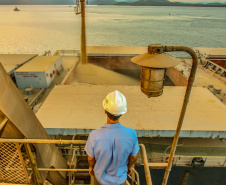 Dia do Portuário marca a essencialidade desses trabalhadores - Comemorada no dia 28 de janeiro, a data ressalta o trabalho de mais de 50 mil homens e mulheres, no Brasil, 3,1 mil no Paraná, que atuam no transporte internacional de cargas e são essenciais para economia mundial -  Foto: Claudio Neves/Portos do Paraná