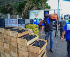 Permissionários atacadistas da Ceasa Curitiba fazem doação 25 toneladas de alimentos para entidades beneficentes de Curitiba e Região Metropolitana, além de famílias atingidas pelas chuvas em Irati, na região Centro-Sul do Estado. - Curitiba, 29/01/2021  -  Foto: Veldelino Pontes