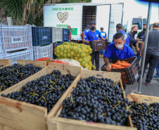 Permissionários atacadistas da Ceasa Curitiba fazem doação 25 toneladas de alimentos para entidades beneficentes de Curitiba e Região Metropolitana, além de famílias atingidas pelas chuvas em Irati, na região Centro-Sul do Estado. - Curitiba, 29/01/2021  -  Foto: Veldelino Pontes