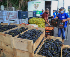 Permissionários atacadistas da Ceasa Curitiba fazem doação 25 toneladas de alimentos para entidades beneficentes de Curitiba e Região Metropolitana, além de famílias atingidas pelas chuvas em Irati, na região Centro-Sul do Estado. - Curitiba, 29/01/2021  -  Foto: Veldelino Pontes