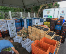 Permissionários atacadistas da Ceasa Curitiba fazem doação 25 toneladas de alimentos para entidades beneficentes de Curitiba e Região Metropolitana, além de famílias atingidas pelas chuvas em Irati, na região Centro-Sul do Estado. - Curitiba, 29/01/2021  -  Foto: Veldelino Pontes