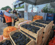 Permissionários atacadistas da Ceasa Curitiba fazem doação 25 toneladas de alimentos para entidades beneficentes de Curitiba e Região Metropolitana, além de famílias atingidas pelas chuvas em Irati, na região Centro-Sul do Estado. - Curitiba, 29/01/2021  -  Foto: Veldelino Pontes