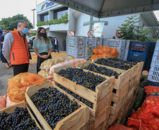 Permissionários atacadistas da Ceasa Curitiba fazem doação 25 toneladas de alimentos para entidades beneficentes de Curitiba e Região Metropolitana, além de famílias atingidas pelas chuvas em Irati, na região Centro-Sul do Estado. - Curitiba, 29/01/2021  -  Foto: Veldelino Pontes