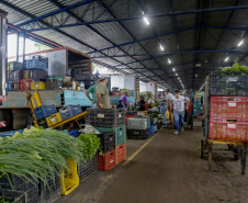 Permissionários atacadistas da Ceasa Curitiba fazem doação 25 toneladas de alimentos para entidades beneficentes de Curitiba e Região Metropolitana, além de famílias atingidas pelas chuvas em Irati, na região Centro-Sul do Estado. - Curitiba, 29/01/2021  - Foto: Gilson Abreu/AEN