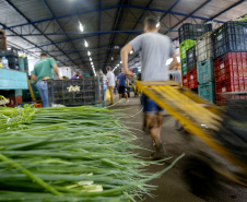 Permissionários atacadistas da Ceasa Curitiba fazem doação 25 toneladas de alimentos para entidades beneficentes de Curitiba e Região Metropolitana, além de famílias atingidas pelas chuvas em Irati, na região Centro-Sul do Estado. - Curitiba, 29/01/2021  - Foto: Gilson Abreu/AEN