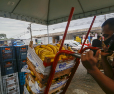 Permissionários atacadistas da Ceasa Curitiba fazem doação 25 toneladas de alimentos para entidades beneficentes de Curitiba e Região Metropolitana, além de famílias atingidas pelas chuvas em Irati, na região Centro-Sul do Estado. - Curitiba, 29/01/2021  - Foto: Gilson Abreu/AEN