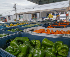 Permissionários atacadistas da Ceasa Curitiba fazem doação 25 toneladas de alimentos para entidades beneficentes de Curitiba e Região Metropolitana, além de famílias atingidas pelas chuvas em Irati, na região Centro-Sul do Estado. - Curitiba, 29/01/2021  - Foto: Gilson Abreu/AEN