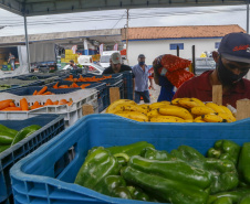 Permissionários atacadistas da Ceasa Curitiba fazem doação 25 toneladas de alimentos para entidades beneficentes de Curitiba e Região Metropolitana, além de famílias atingidas pelas chuvas em Irati, na região Centro-Sul do Estado. - Curitiba, 29/01/2021  - Foto: Gilson Abreu/AEN