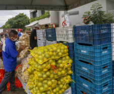 Permissionários atacadistas da Ceasa Curitiba fazem doação 25 toneladas de alimentos para entidades beneficentes de Curitiba e Região Metropolitana, além de famílias atingidas pelas chuvas em Irati, na região Centro-Sul do Estado. - Curitiba, 29/01/2021  - Foto: Gilson Abreu/AEN