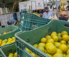 Permissionários atacadistas da Ceasa Curitiba fazem doação 25 toneladas de alimentos para entidades beneficentes de Curitiba e Região Metropolitana, além de famílias atingidas pelas chuvas em Irati, na região Centro-Sul do Estado. - Curitiba, 29/01/2021  - Foto: Gilson Abreu/AEN