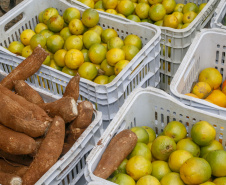 Permissionários atacadistas da Ceasa Curitiba fazem doação 25 toneladas de alimentos para entidades beneficentes de Curitiba e Região Metropolitana, além de famílias atingidas pelas chuvas em Irati, na região Centro-Sul do Estado. - Curitiba, 29/01/2021  - Foto: Gilson Abreu/AEN