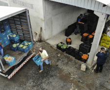 Vítimas da chuva recebem 25 toneladas de alimentos do Ceasa Paraná . IRATI.

Foto: Gilson Abreu/AEN