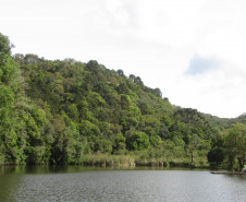 O Governo do Paraná destinou R$ 701.013,90 às 20 Reservas Particulares de Patrimônio Natural (RPPNs) inscritas no Edital nº 01/2018 do Programa Pagamento por Serviços Ambientais (PSA).  - Foto: Tereza Hoffmann / IAT