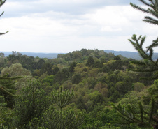 O Governo do Paraná destinou R$ 701.013,90 às 20 Reservas Particulares de Patrimônio Natural (RPPNs) inscritas no Edital nº 01/2018 do Programa Pagamento por Serviços Ambientais (PSA).  - Foto: Tereza Hoffmann / IAT