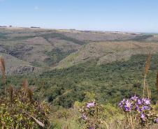 O Governo do Paraná destinou R$ 701.013,90 às 20 Reservas Particulares de Patrimônio Natural (RPPNs) inscritas no Edital nº 01/2018 do Programa Pagamento por Serviços Ambientais (PSA).  - Foto: Tereza Hoffmann / IAT