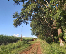 O Governo do Paraná destinou R$ 701.013,90 às 20 Reservas Particulares de Patrimônio Natural (RPPNs) inscritas no Edital nº 01/2018 do Programa Pagamento por Serviços Ambientais (PSA).  - Foto: Tereza Hoffmann / IAT