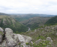 O Governo do Paraná destinou R$ 701.013,90 às 20 Reservas Particulares de Patrimônio Natural (RPPNs) inscritas no Edital nº 01/2018 do Programa Pagamento por Serviços Ambientais (PSA).  - Foto: Tereza Hoffmann / IAT