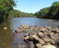 O Governo do Paraná destinou R$ 701.013,90 às 20 Reservas Particulares de Patrimônio Natural (RPPNs) inscritas no Edital nº 01/2018 do Programa Pagamento por Serviços Ambientais (PSA).  - Foto: Tereza Hoffmann / IAT
