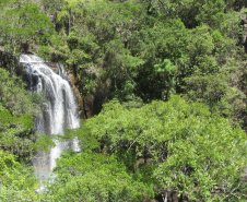 O Governo do Paraná destinou R$ 701.013,90 às 20 Reservas Particulares de Patrimônio Natural (RPPNs) inscritas no Edital nº 01/2018 do Programa Pagamento por Serviços Ambientais (PSA).  - Foto: Tereza Hoffmann / IAT