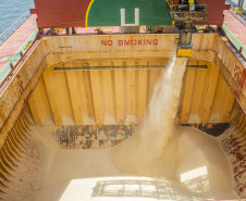 Comércio pelos portos do Paraná tem saldo positivo de US$ 6,52 bilhões. -  Foto: Claudio Neves/Portos do Paraná 