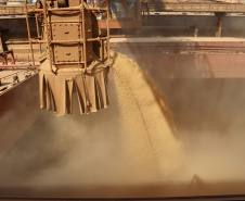 Comércio pelos portos do Paraná tem saldo positivo de US$ 6,52 bilhões. -  Foto: Claudio Neves/Portos do Paraná 