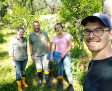 A Universidade Estadual do Oeste do Paraná (Unioeste), em parceria com o Instituto Nacional de Tecnología Agropecuária (Inta) da Argentina, desenvolve dois projetos de controle de pragas da erva-mate. A planta, utilizada na produção do chimarrão, é responsável por uma cadeia produtiva que movimenta R$ 1,2 bilhão de dólares ao ano.  -  Foto: Divulgação Unioeste