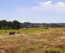 O governador Carlos Massa Ratinho Junior autorizou nesta segunda-feira (22) a ordem de serviço para a construção de um Condomínio do Idoso em Ponta Grossa, nos Campos Gerais. - Ponta Grossa, 22/02/2021  -  Foto: Gilson Abreu/AEN