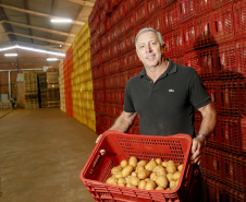 02/03 - produção e processo da batata. Na foto, o produtor rural e empresário Osmar Kloster de Oliveira  -  Foto: Gilson Abreu/AEN