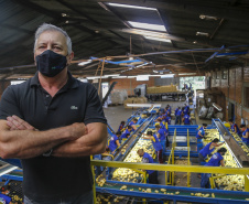 02/03 - produção e processo da batata.Foto: Gilson Abreu/AEN