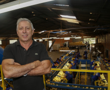 02/03 - produção e processo da batata. Na foto, o produtor rural e empresário Osmar Kloster de Oliveira  -  Foto: Gilson Abreu/AEN