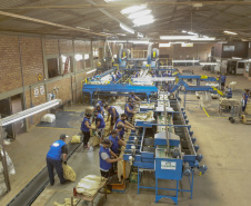 02/03 - produção e processo da batata.Foto: Gilson Abreu/AEN