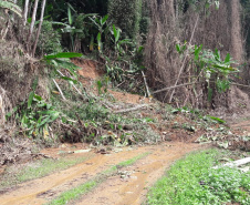 Boletim de Ocorrências da Coordenadoria Estadual da Defesa Civil divulgado na manhã desta quarta-feira (4) mostra que os temporais atingiram nove municípios e danificaram 164 residências. Foto: SISDC/Defesa Civil
