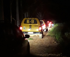 Polícia já prendeu 420 pessoas e interditou 209 pontos comerciais. Foto:SESP