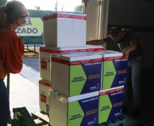 Paraná distribui novo lote e começa a vacinar idosos com mais de 75 anos.
Foto Gilson Abreu/AEN